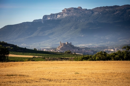 Viaje para grupos escolares a La Rioja: El origen del Castellano y Camino de Santiago
