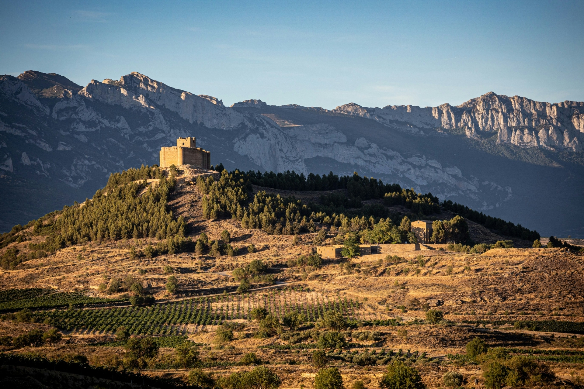 Schoolreis naar La Rioja: De oorsprong van het Spaans en de Camino de Santiago | Roses Internacional Tours
