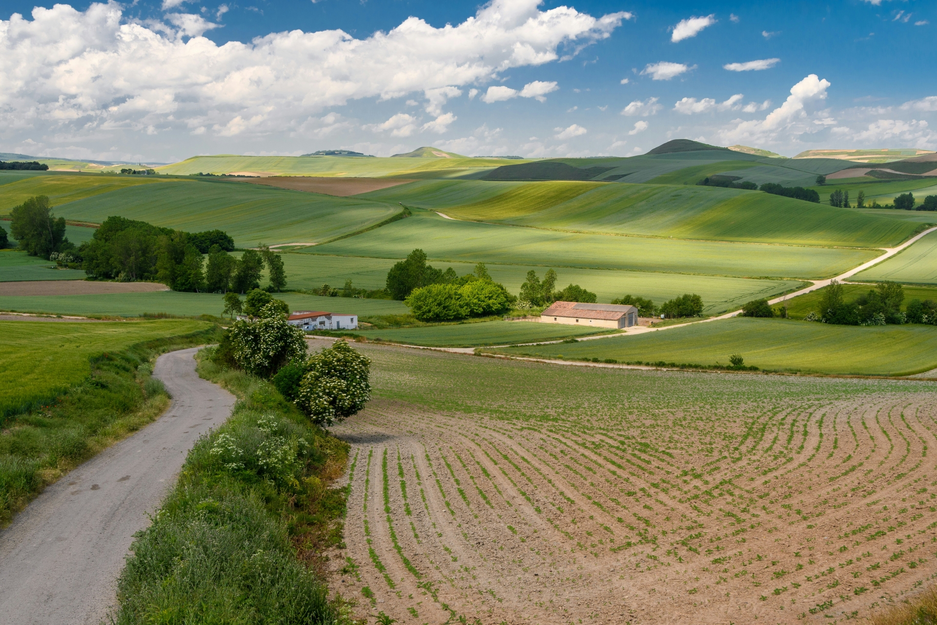 Schoolreis naar La Rioja: De oorsprong van het Spaans en de Camino de Santiago | Roses Internacional Tours