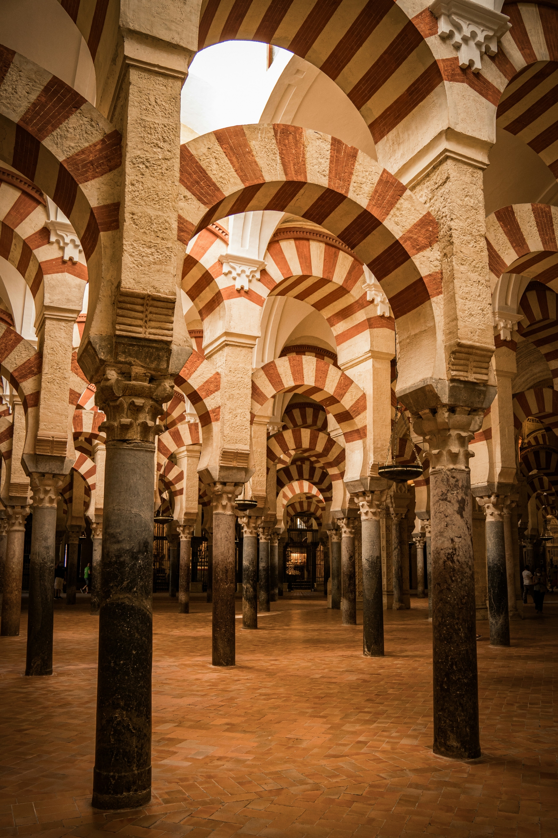 Viaje para aprender español en Sevilla para grupos escolares | Roses Internacional Tours