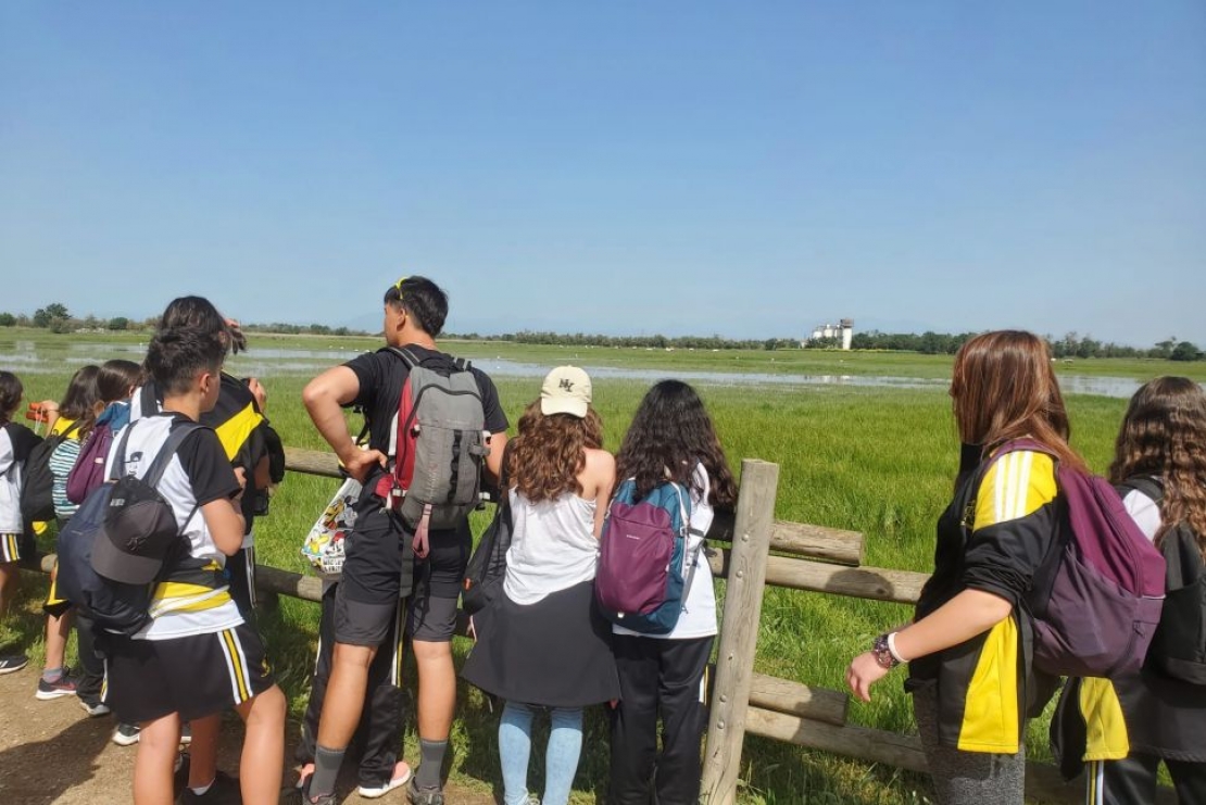 Visión, Misión y Valores | Roses Internacional Tours
